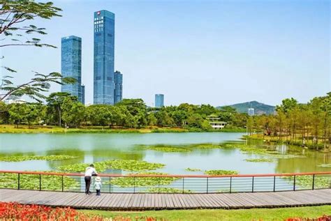 Shenzhen Central Park Eyeshenzhen