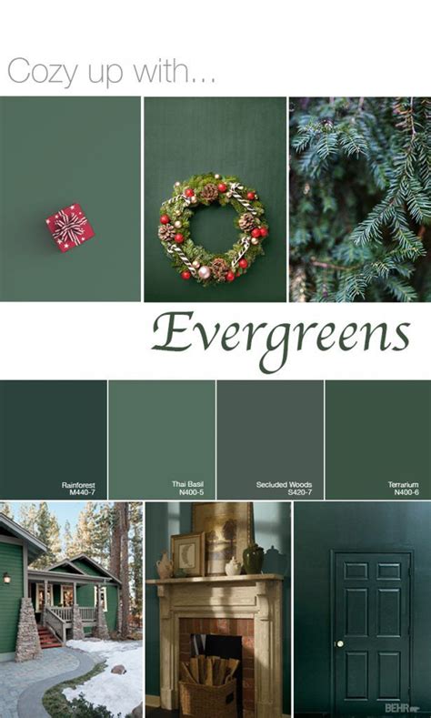 Faq Evergreens Color Palette Colorfully Behr Green Paint Colors