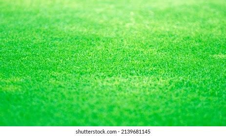 Green Grass Texture Texture Background Stock Photo 2139681145 ...