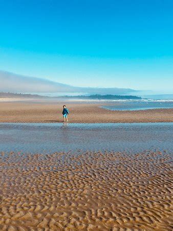 Chesterman Beach (Tofino) - 2018 All You Need to Know Before You Go (with Photos) - TripAdvisor
