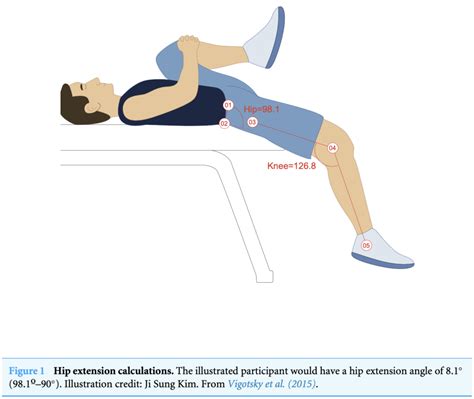 Hip Flexor Stretches - E3 Rehab