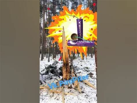 Лютая Петарда Мамба уложила дерево - YouTube