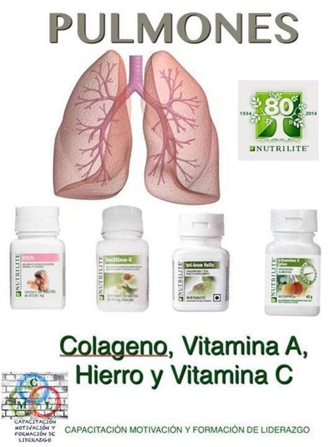 Lifewire Up Vitaminas Para Los Pulmones