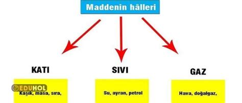 Maddenin Halleri Eduhol Etkinlik Ndir Oyun Oyna Test Z Video Zle