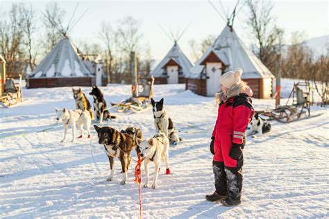 Trip To Reindeer And Husky Farm From Rovaniemi Outdoortrip