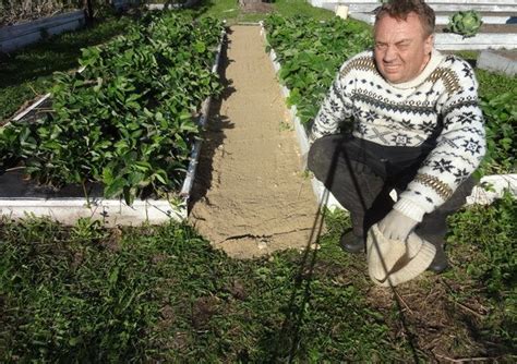 КАК СДЕЛАТЬ ЧТОБЫ В ПРОХОДАХ МЕЖДУ ГРЯДКАМИ ТРАВА НЕ РОСЛА Совет от ...