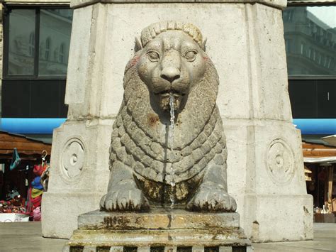 Fountain With A Lion Lion Sculpture Lions Lion