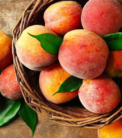 आड़ू के 15 फायदे उपयोग और नुकसान Peach Aadu Fruit Benefits Uses