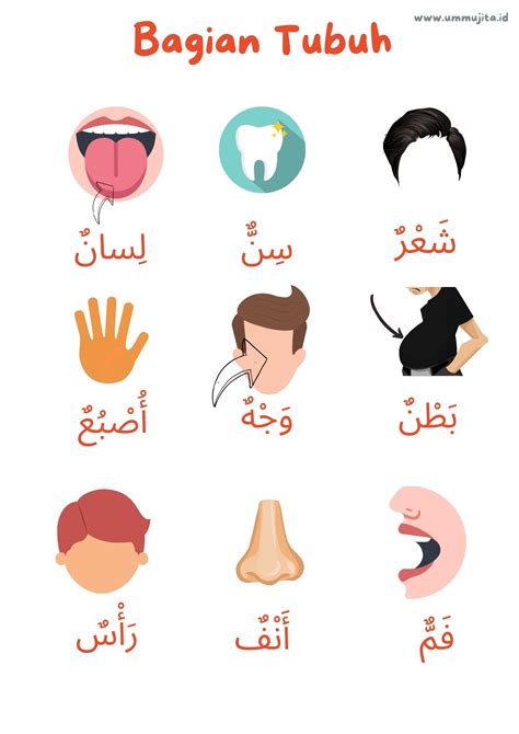 gambar anggota tubuh bahasa arab  koleksi gambar