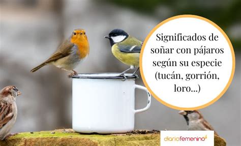 Total Imagen Frases De Aves Y Libertad Abzlocal Mx