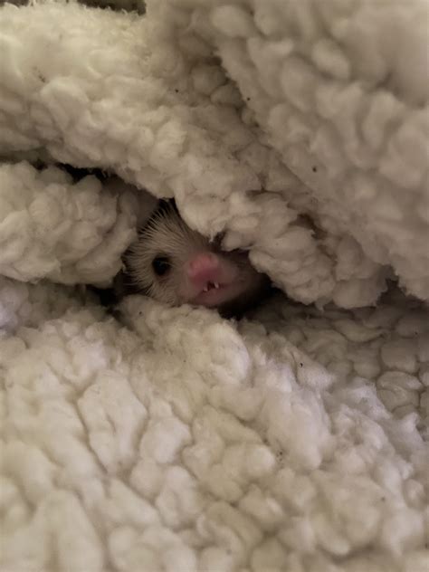 Is cvs and walgreens the same question impacts your prescription costs 16