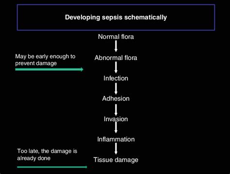 Schematic View Of Developing Sepsis And Timing Of Administration Of