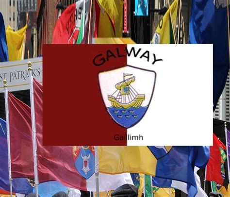 County Galway Ireland Crest Flag ~ 5 X 3 ft