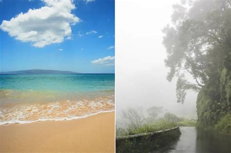 Best Time To Visit Maui Hawaii Your Guide For When To Travel To Maui