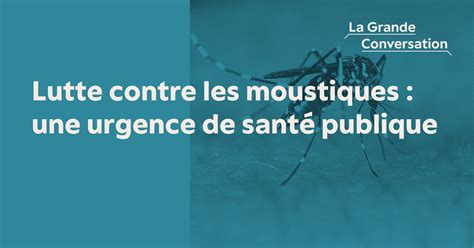 Lutte Contre Les Moustiques Une Urgence De Sant Publique La Grande