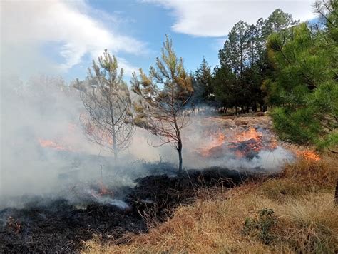 Extinguidos 40 Incendios Forestales Por La Brigada Toluca El Valle