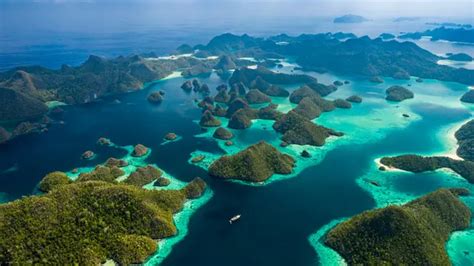 Mengenal Wisata Raja Ampat Surga Tersembunyi Dengan Keindahan Alam