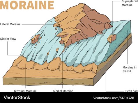 Moraine diagram Royalty Free Vector Image - VectorStock