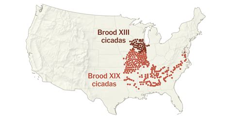 Cicada Emergence Map 2024 Alyse Bertine