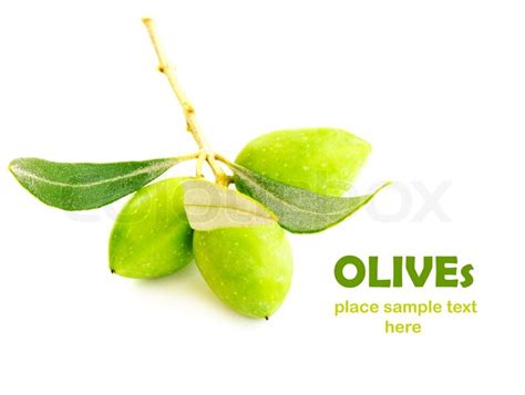 Fresh Green Olive Branch Isolated On Stock Image Colourbox