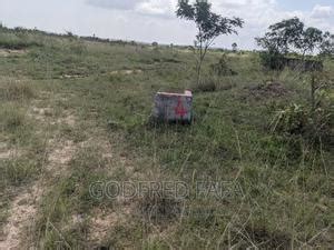 Genuine Estate Land More Plots Available At Afienya For In Accra