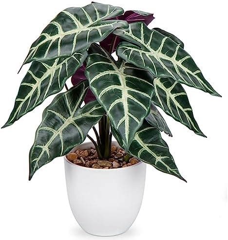 Amazon Aphighjoy Fake Potted Pink Caladium Plants Artificial