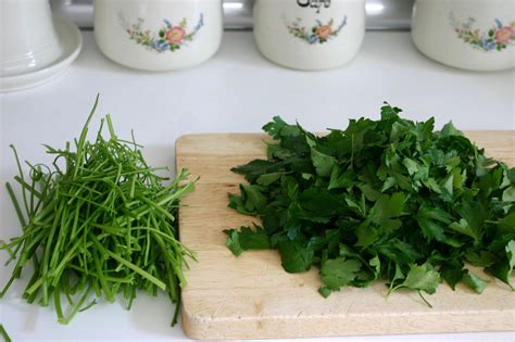 MACETOHUERTO PASO A PASO CULTIVAR PEREJIL EN MACETA