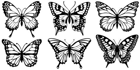 Dibujar Siluetas Negras De Mariposas Sobre Un Fondo Blanco 5937582