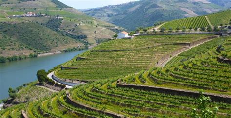 Douro River Cruises Why Is The Douro Valley So Popular