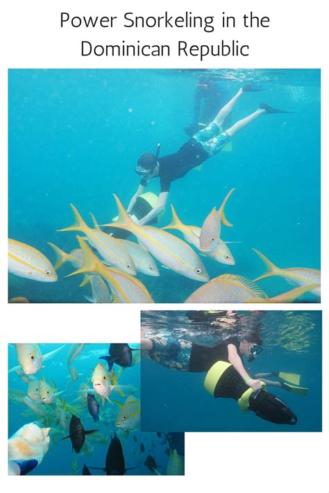 Power Snorkeling Adventure - Dominican Republic - Fathom Cruise