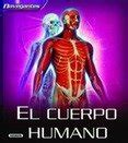 Preguntas Y Respuestas Sobre El Cuerpo Humano Todolibro S A