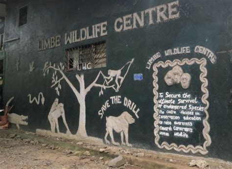 Limbe Wildlife Centre - 2021 All You Need to Know BEFORE You Go (with ...