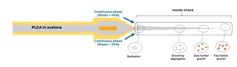 Perform Plga Nanoparticle Synthesis Using D Microfluidic Hydrodynamic