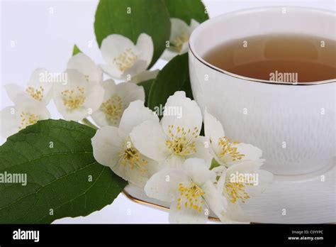 Cup of tea Stock Photo - Alamy