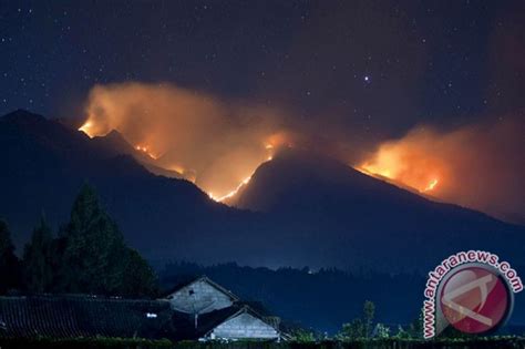 Btngm Tutup Jalur Pendakian Merbabu Akibat Kebakaran Antara News