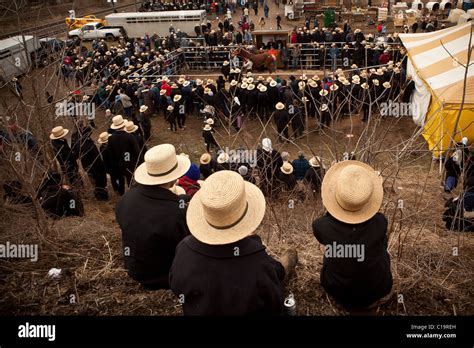 Amish Men Watch The Horse Auction During The Annual Mud Sale To Support