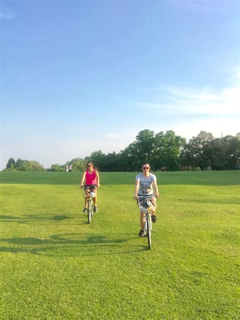 Best Things to Do in Kyoto | Unique Tours & Activities - Kyoto, Japan