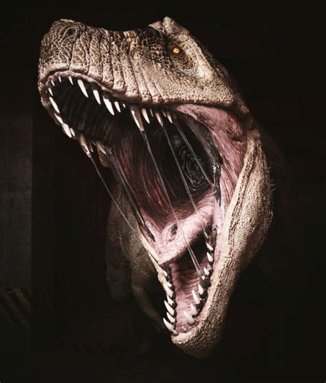 7500 Scary Dinosaur Stock Photos Pictures And Royalty Free Images Istock