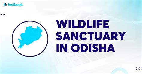 Wildlife Sanctuaries of Odisha - Explore Top 10 List Now!