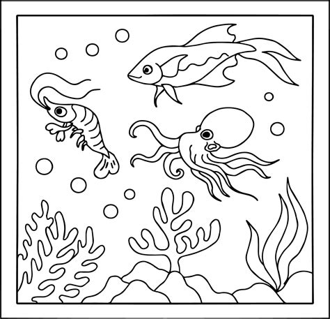 design aqua fish outline coloring page for kid 26397006 Vector Art at Vecteezy