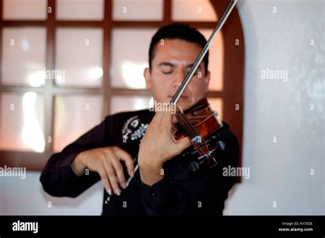 Musician playing violin at Mexican mariachi band Stock Photo - Alamy