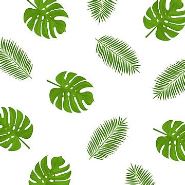 Palm Branch Background PNG Transparent Images Free Download | Vector ...