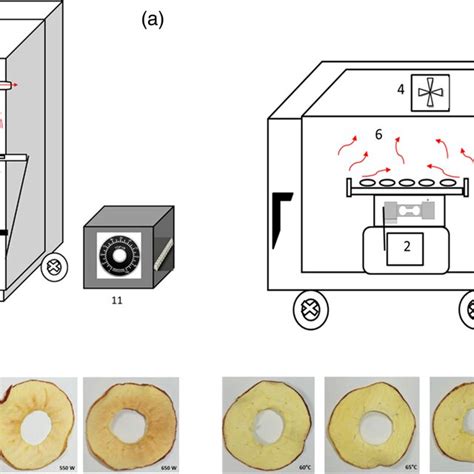 A Schematic Outline Of The Infrared Drying Chamber 1sample Tray