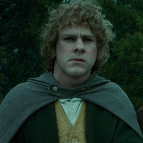 Merry Brandybuck Icon In 2024 Fellowship Of The Ring Cottagecore