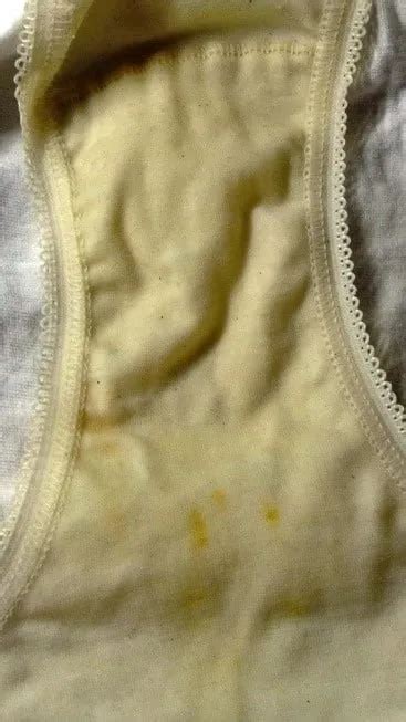 Panties Cum Precum And Piss Nude Pics XHamster