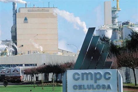 Cmpc Confirmó Que Se Duplicó Las Plantaciones Afectadas Por Incendios