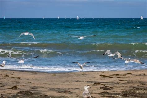 Две тела изплуваха от морето в Бургаско