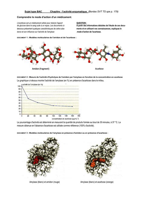 Tp Hydrolyse Enzymatique De L Amidon Par L Amylase