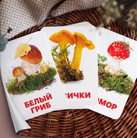 Карточки Грибы - ROZETKA. Купить карточки Грибы для детей в Украине: ️ ...