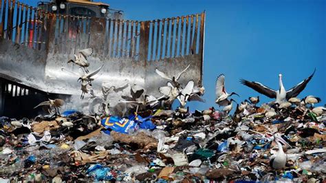 Kingston Council Moves To Stop Landfills In Green Wedge Herald Sun